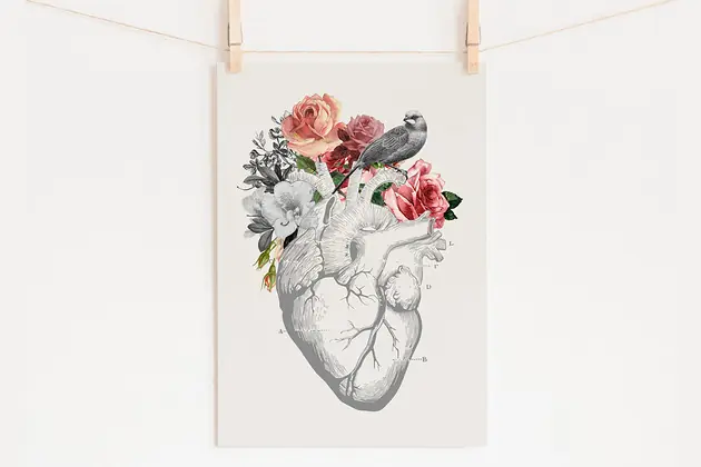 Wysoka jakość Autorska grafika "HEART", anatomiczne serce, serce