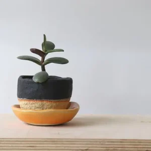Szybka wysyłka Mała doniczka ceramiczna