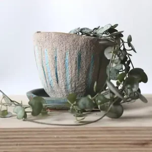 Hit sprzedaży Mała doniczka ceramiczna