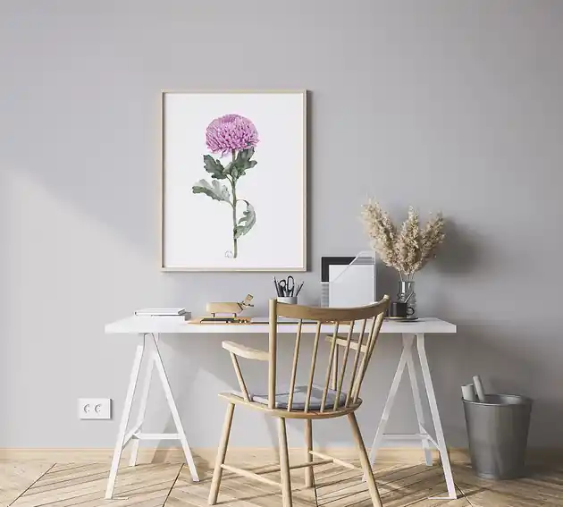 Ostatnie sztuki Różowa chryzantema, grafika, akwarela