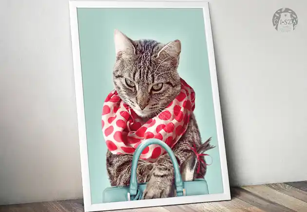 Promocja PLAKAT autorski Panna Kicia