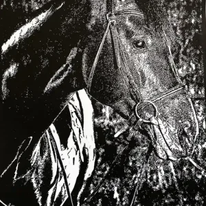 Linoryt "Portret karego konia" Premium