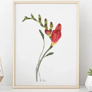 Frezja, grafika, akwarela Ekspresowa dostawa