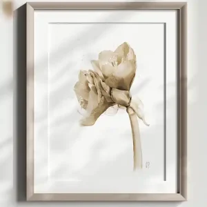 Amarylis sepia, grafika, akwarela Sprawdź teraz