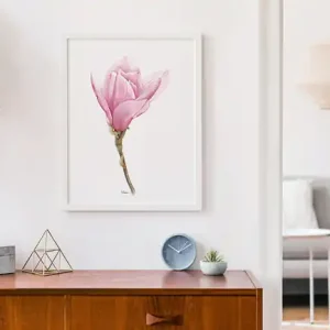 Wyprzedaż Magnolia, grafika, akwarela