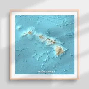 HAWAJE plakat mapa Wybór klientów