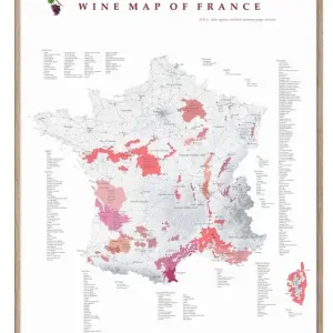 Hit cenowy WINO Francja regiony winiarskie plakat mapa