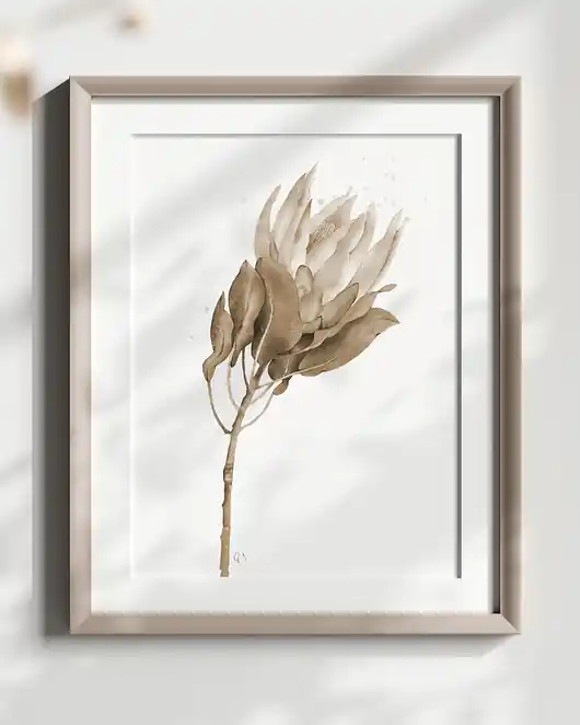 Protea, grafika, akwarela - sepia Popularny