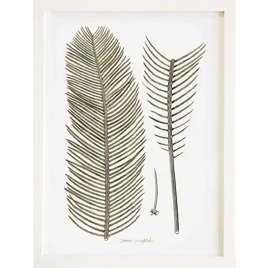 Plakat botaniczny vintage A3 Łatwy zwrot
