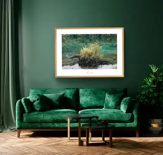 Fotografia autorska Oferta czasowa