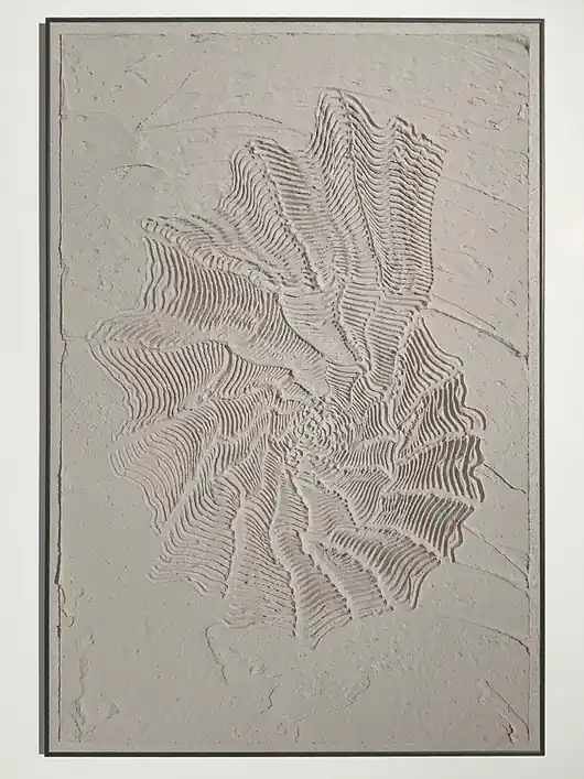Seashell - panel dekoracyjny o grubej fakturze Popularny