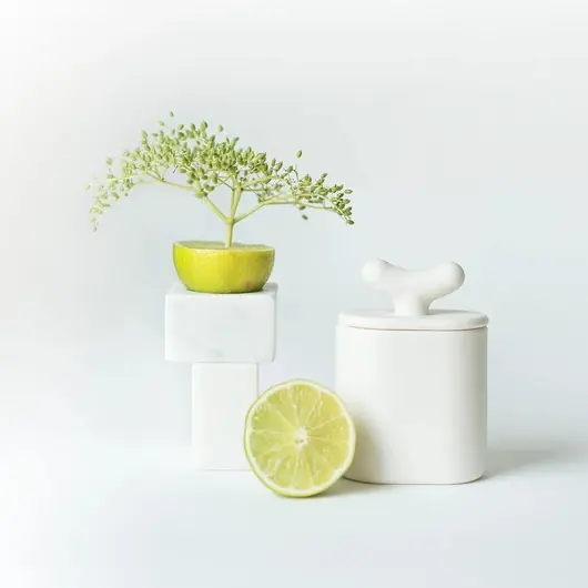 Akebia - pojemnik z porcelany Parian Niska cena