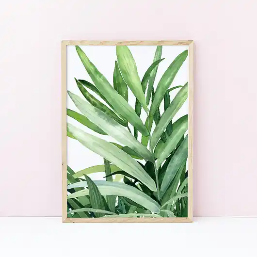 Hit cenowy Kencja - ilustracja botaniczna