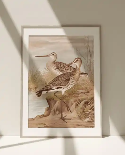 Obniżka ceny Obraz Plakat Grafika Retro Ptaki Birds