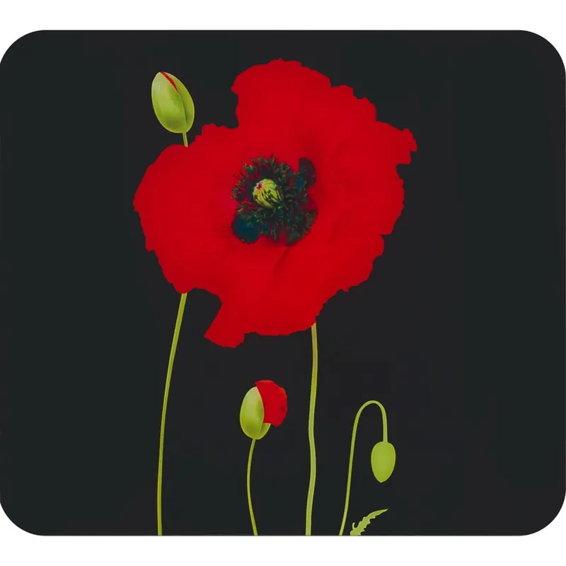 Bestseller Płyta ochronna na ścianę za kuchenką ze szkła hartowanego 50x56 cm Poppy – Maximex Bonami