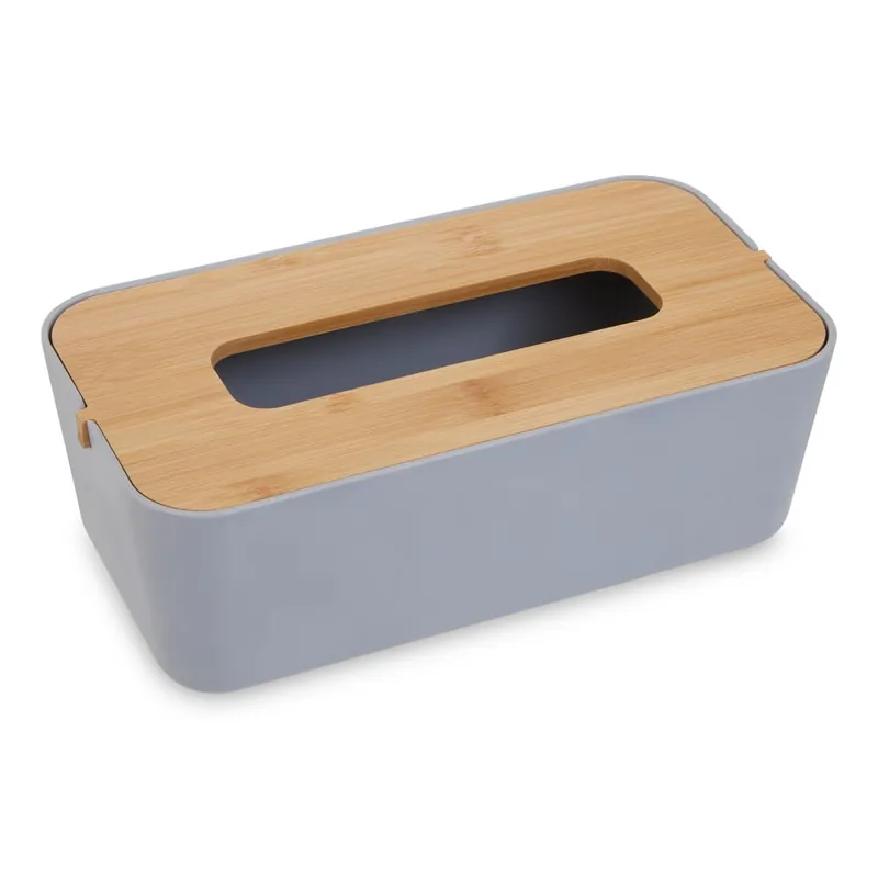 Ekspresowa dostawa Plastikowy pojemnik na chusteczki Canyon – Premier Housewares Bonami