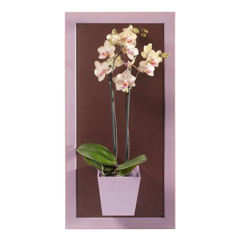 Niska cena Magnetyczny obraz, fioletowy, 23x50 cm Bonami