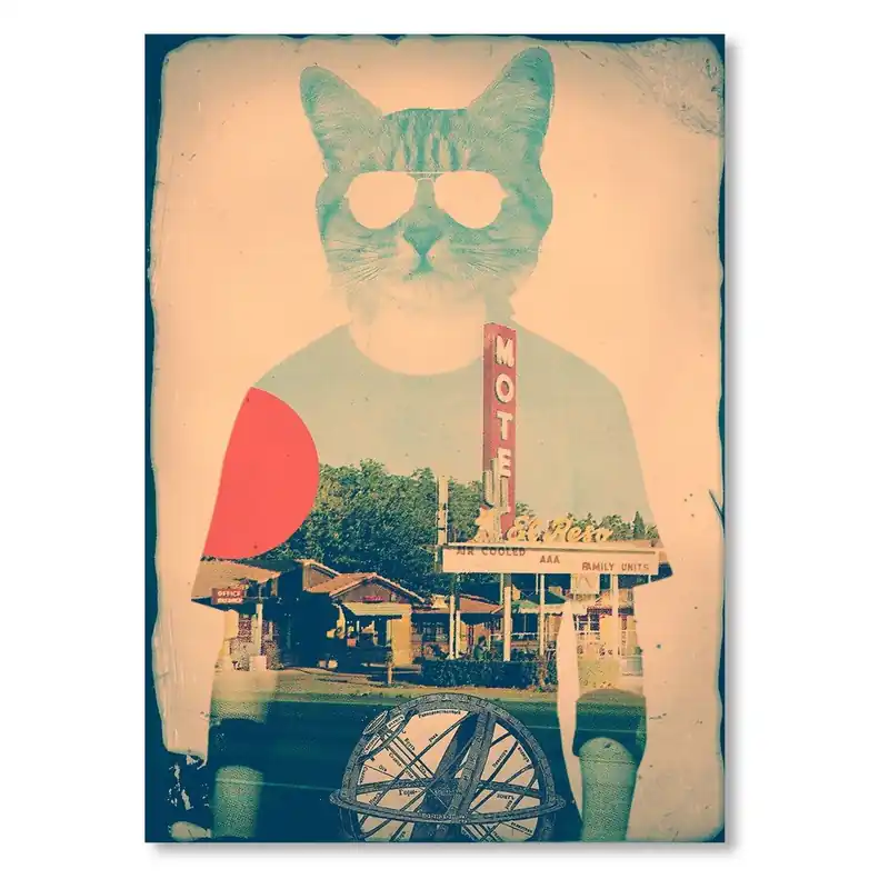 Plakat autorski "The Cat" Bonami Super okazja