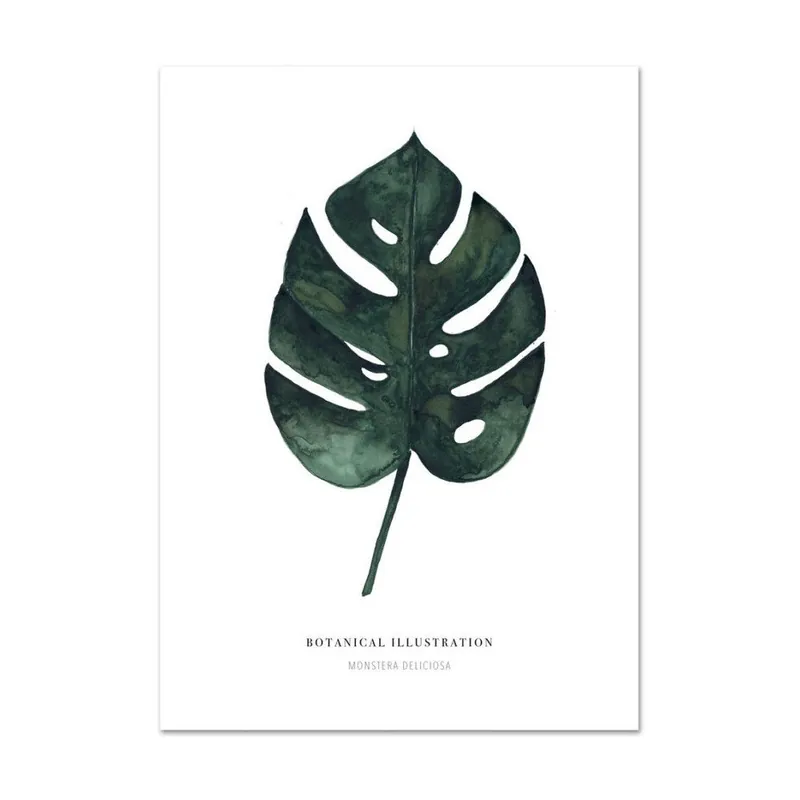Plakat Leo La Douce Monstera Deliciosa, 29,7x42 cm Bonami Promocja
