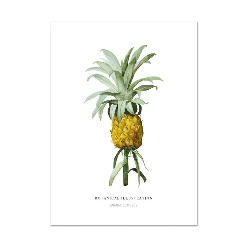 Plakat Leo La Douce Ananas Comosus, 21x29,7 cm Bonami Okazja
