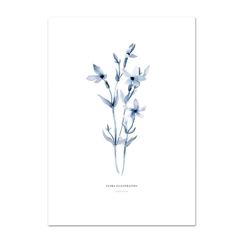 Plakat Leo La Douce Canchalagua, 42x59,4 cm Bonami Bezpieczne zakupy
