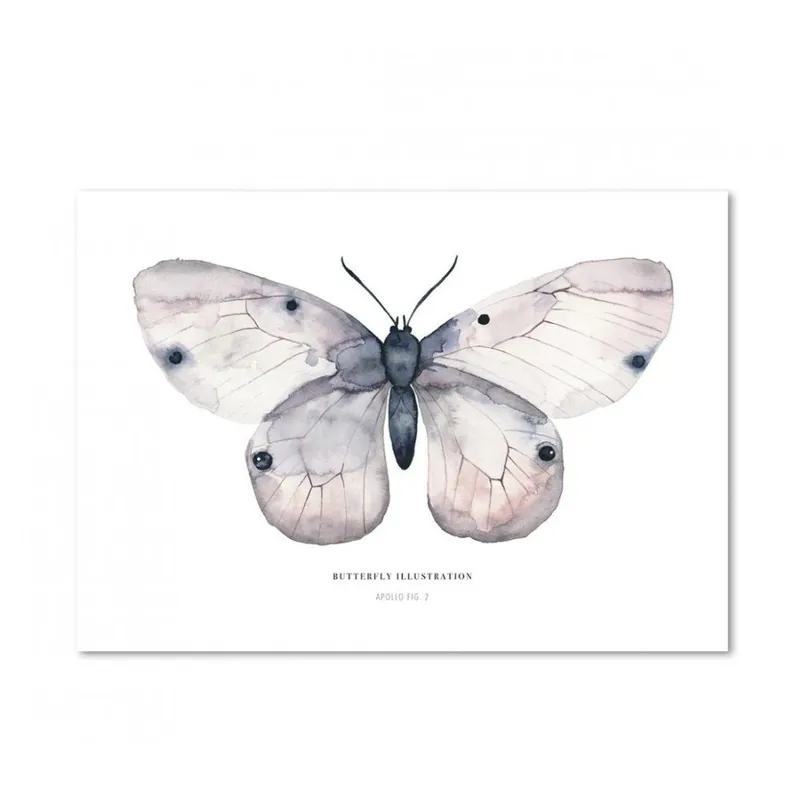 Plakat Leo La Douce Apollo Fig II, 21x29,7 cm Bonami Oferta limitowana
