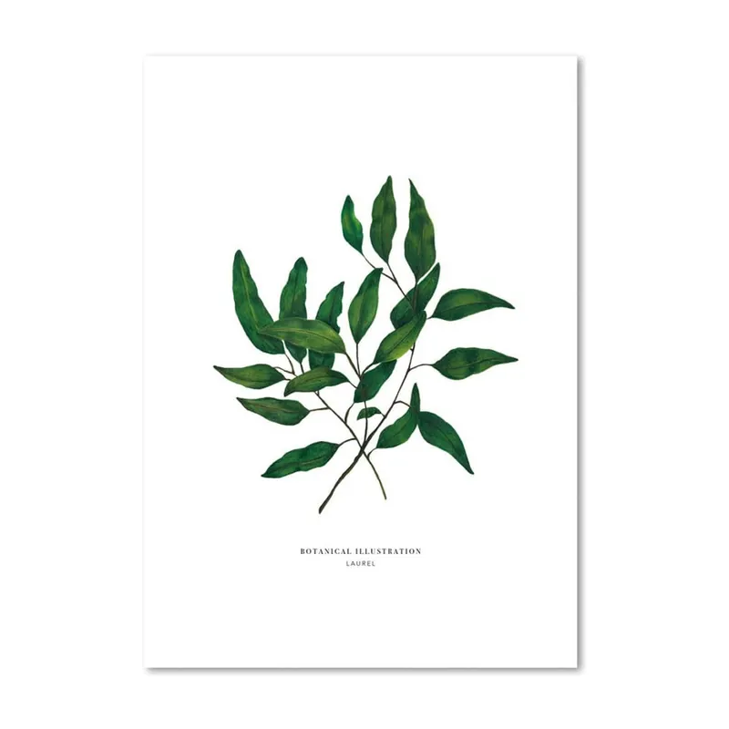 Dostępne od ręki Plakat Leo La Douce Laurel, 21x29,7 cm Bonami